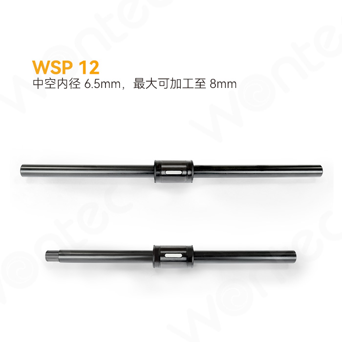 WSP 12 - Straight barrel type